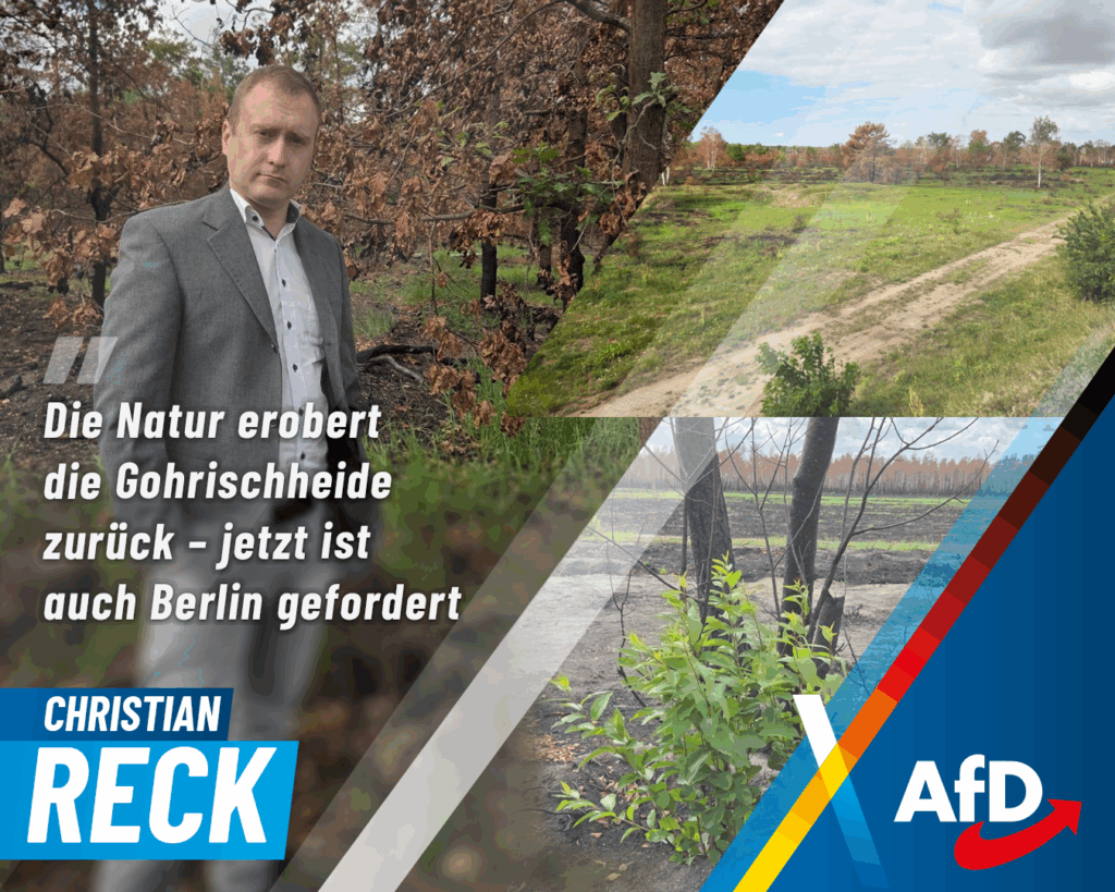 Christian Reck Sharepic 1 Die Natur erobert die Gohrischheide zurück – jetzt ist auch Berlin gefordert!