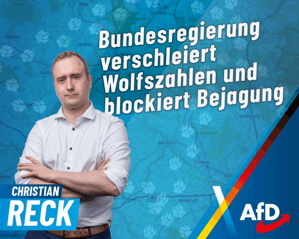 Christian Reck wolf Stellt sich da jemand dumm? Wolfspopulation in Ostdeutschland ist für die Bundesregierung „unbekannt“